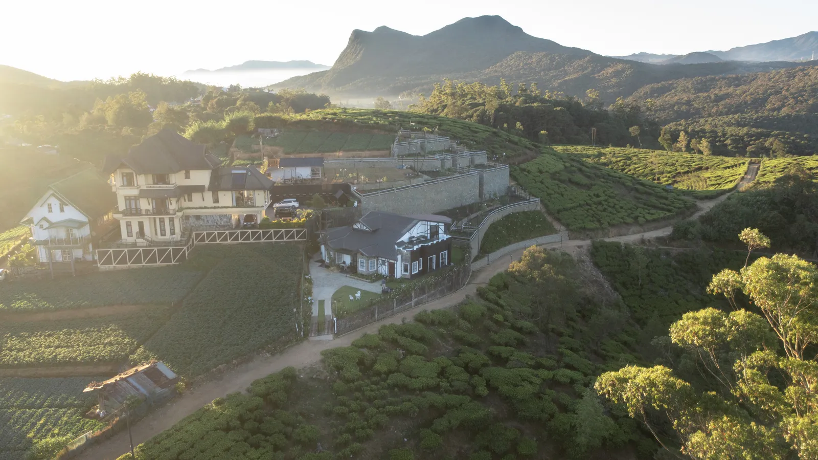 Tea estates and hills around Nuwara Eliya, seen from above